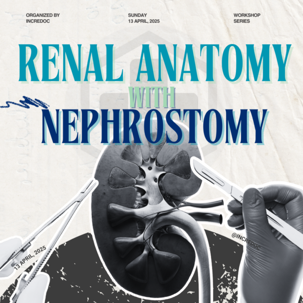Clinical Renal Anatomy and Nephrostomy