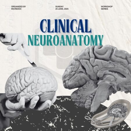 Clinical Neuroanatomy