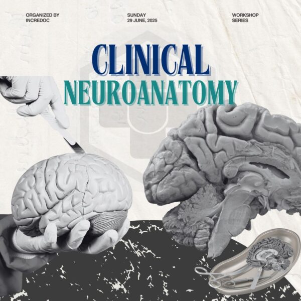 Clinical Neuroanatomy